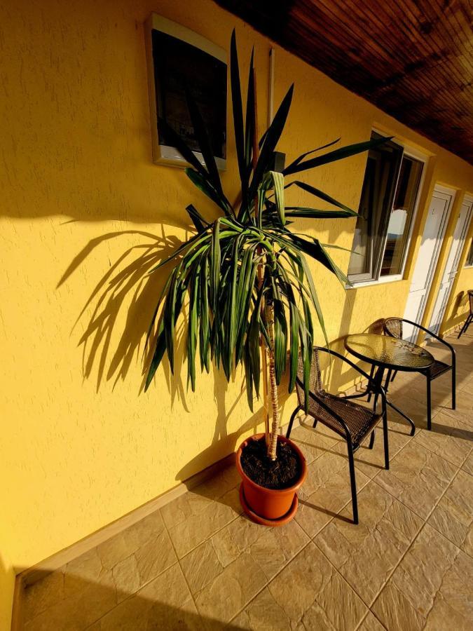 Cabana Vărad Coronini Moldova Veche Exterior foto